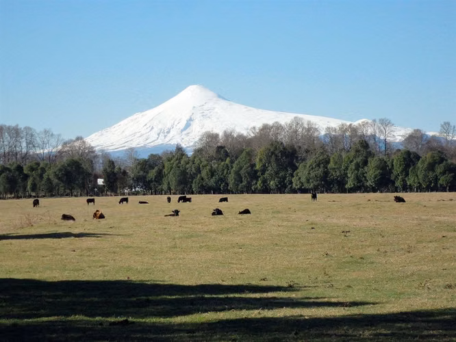 AGRICOLA Plaza San Martín