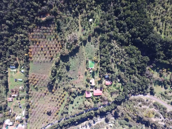 AGRICOLA El Molino, Colliguay - Imagen 16