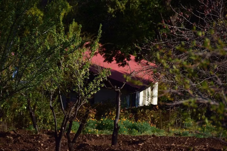 AGRICOLA El Molino, Colliguay - Imagen 17