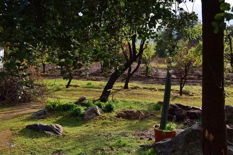 AGRICOLA El Molino, Colliguay - Imagen 3