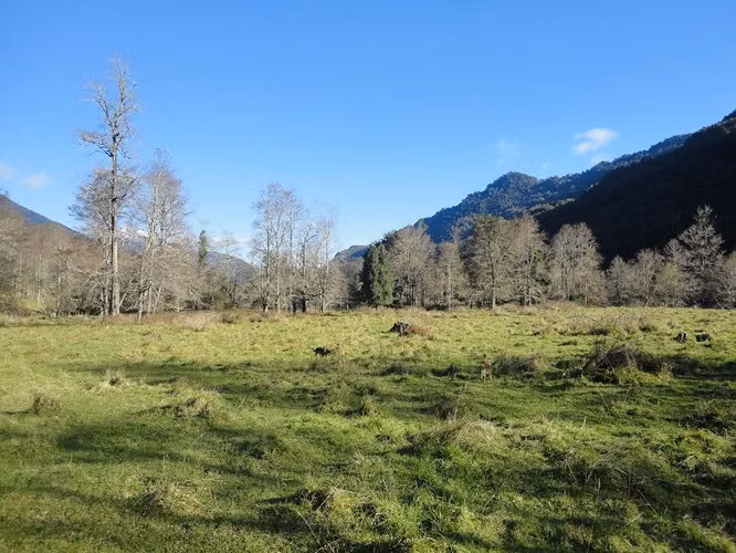 AGRICOLA Futrono