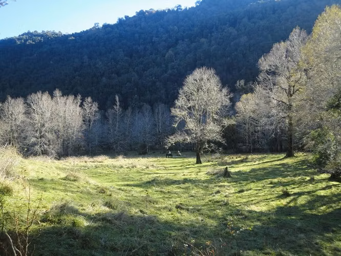 AGRICOLA Futrono