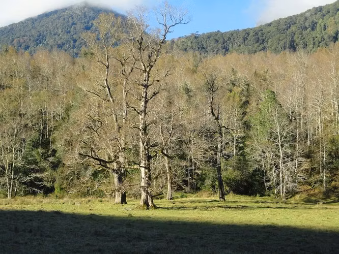 AGRICOLA Futrono