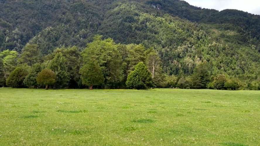 AGRICOLA PUERTO CHACABUCO - Imagen 11