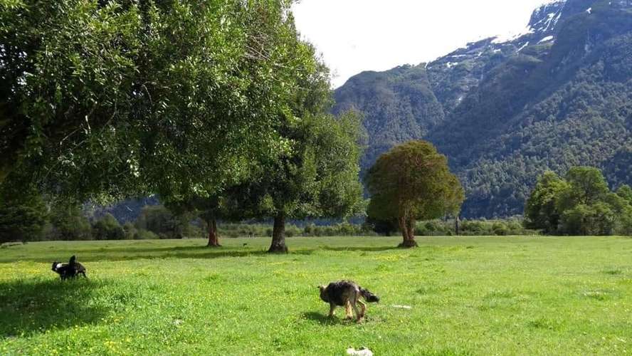 AGRICOLA PUERTO CHACABUCO - Imagen 2