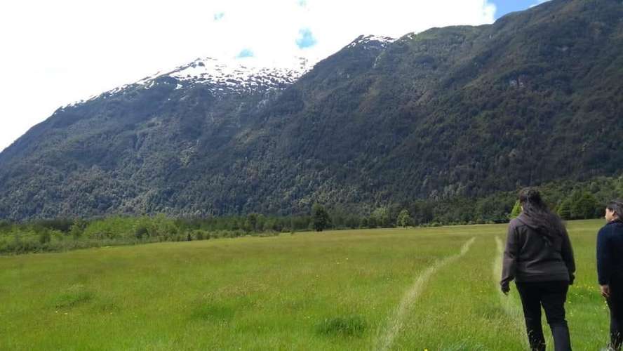 AGRICOLA PUERTO CHACABUCO - Imagen 7