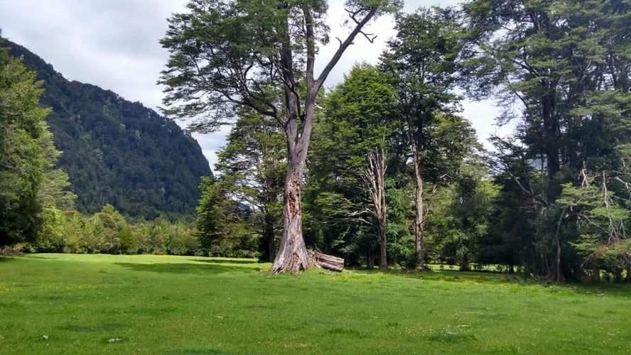 AGRICOLA PUERTO CHACABUCO - Imagen 4