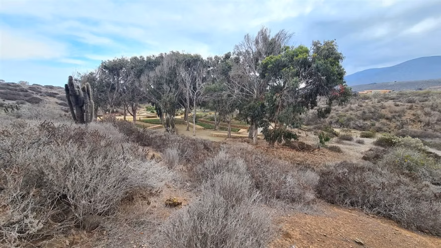 SITIO Agua dulce