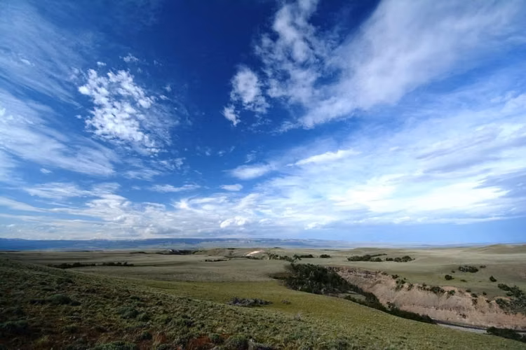 AGRICOLA Sector Balmaceda