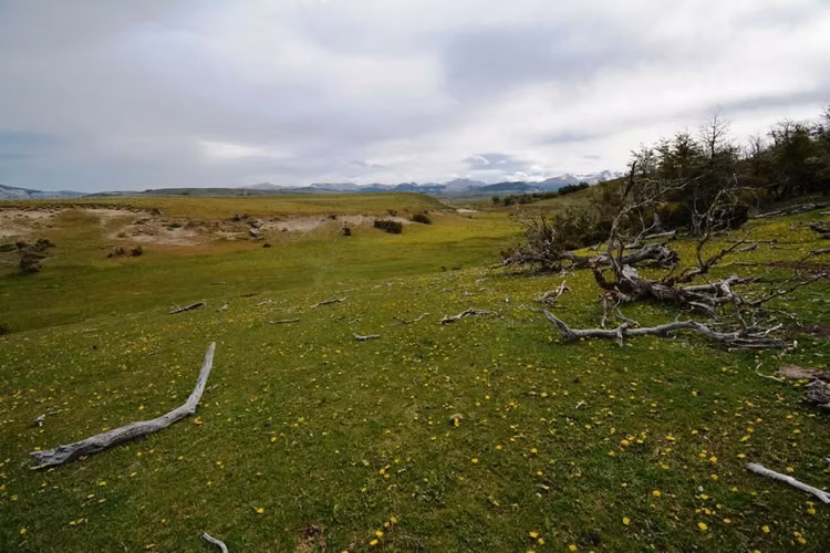 AGRICOLA Sector Balmaceda