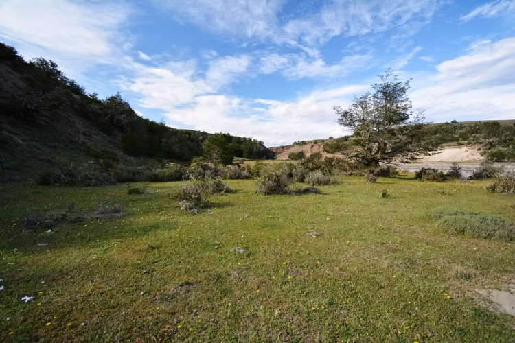AGRICOLA Sector Balmaceda