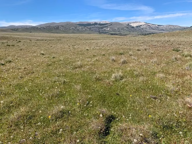 AGRICOLA Sector Balmaceda