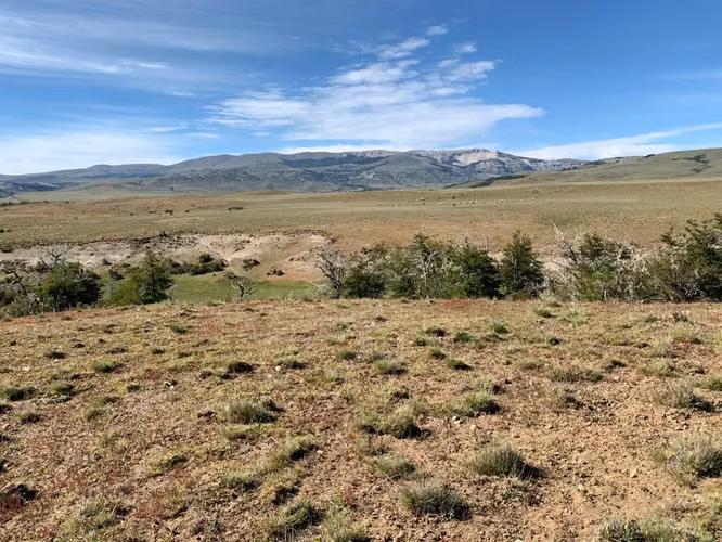 AGRICOLA Sector Balmaceda