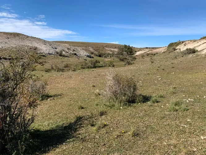 AGRICOLA Sector Balmaceda