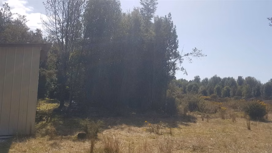 AGRICOLA Sector Punahuel