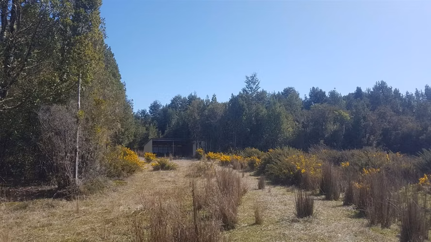 AGRICOLA Sector Punahuel