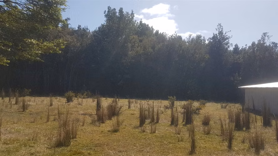 AGRICOLA Sector Punahuel
