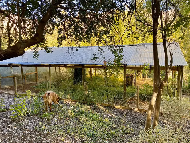 CASA FUNDO SAN FRANCISCO LOS ANDES