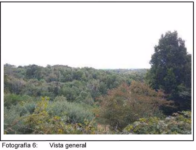 PARCELA PUPELDE
