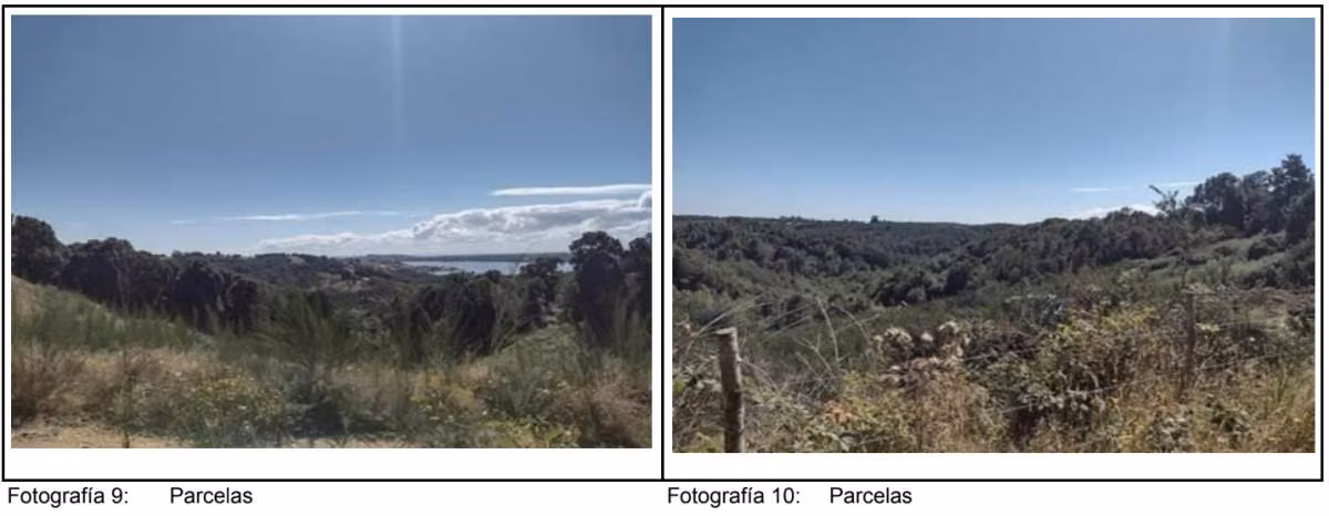 PARCELA PUPELDE