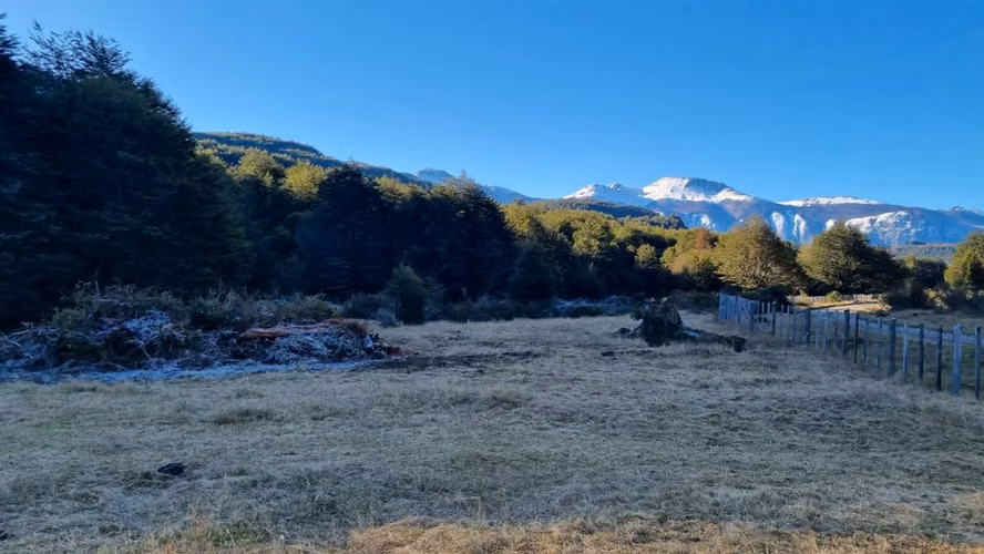 AGRICOLA Mañihuales
