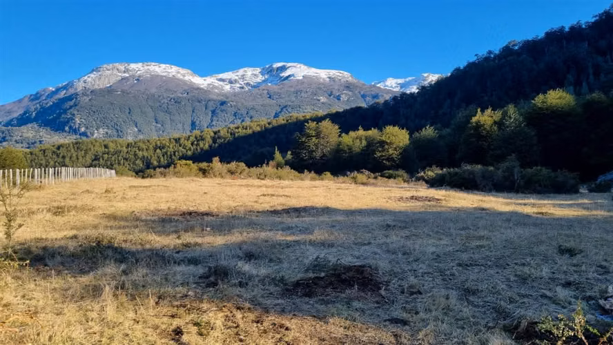 AGRICOLA Mañihuales