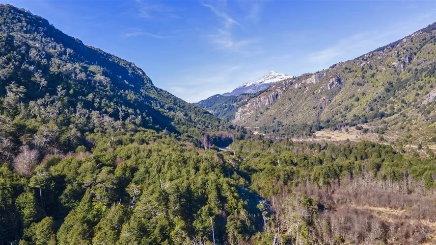 PARCELA MAÑIHUALES