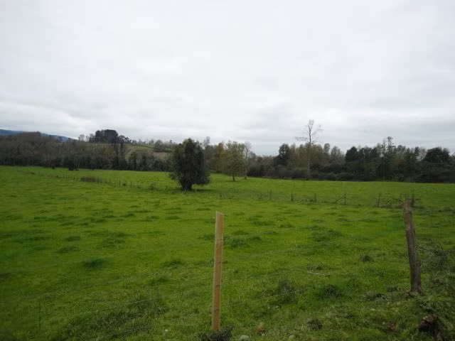 AGRICOLA Paillaco