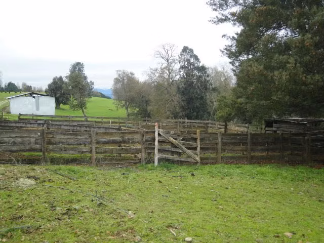 AGRICOLA Paillaco