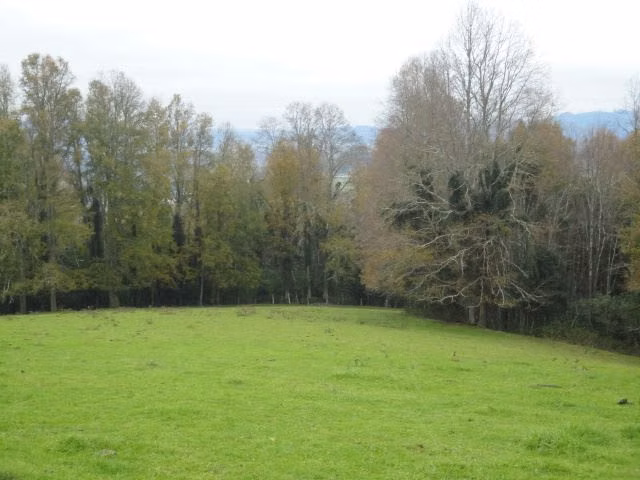 AGRICOLA Paillaco