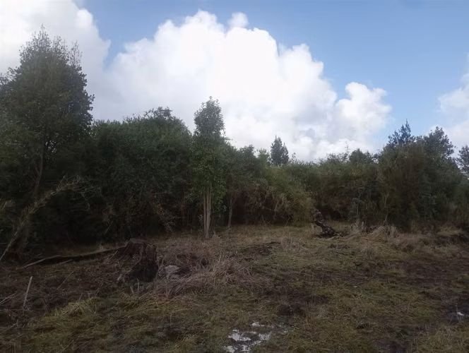 PARCELA Bosques de Coipomo