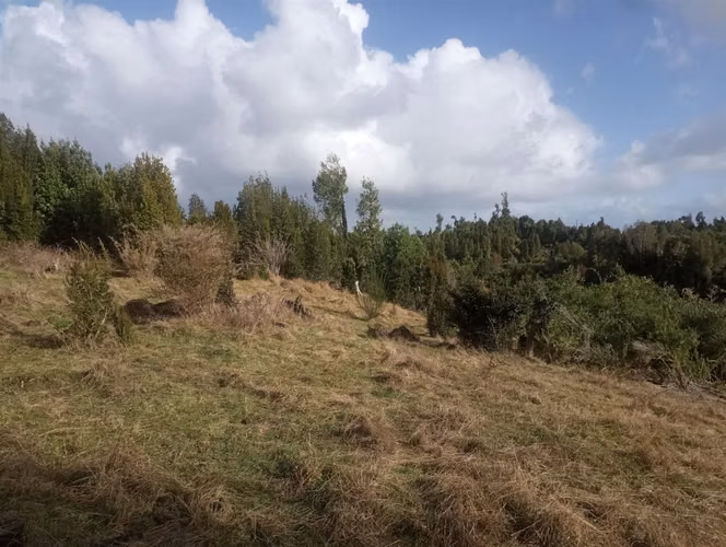 PARCELA Bosques de Coipomo
