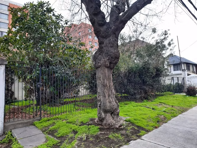 SITIO Cuenca/ Amercio Vespucio Sur