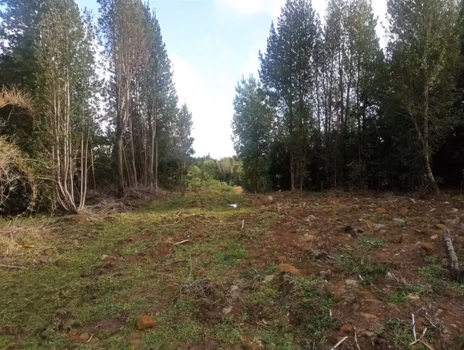 PARCELA Bosques de Coipomo