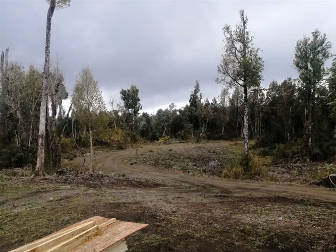PARCELA Bosques de Coipomo