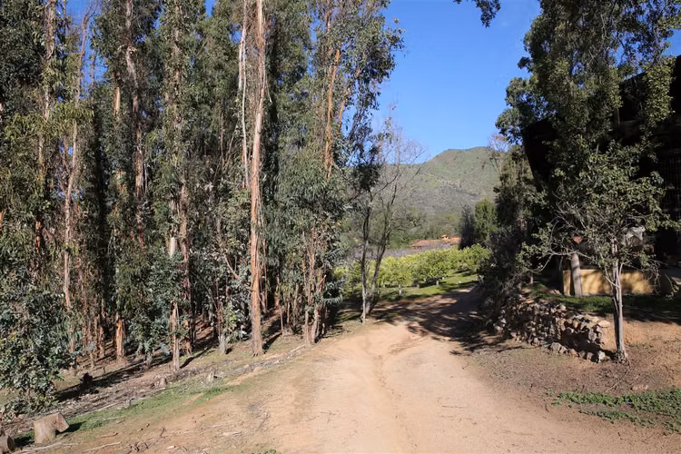 CASA El Pangue - Imagen 14