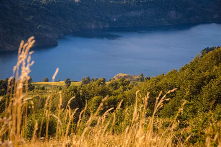 PARCELA Lago Elizalde