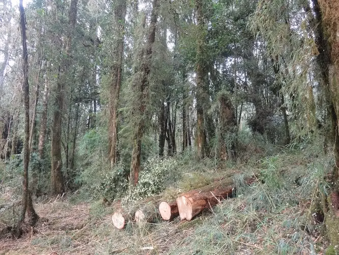 AGRICOLA Fundo San José