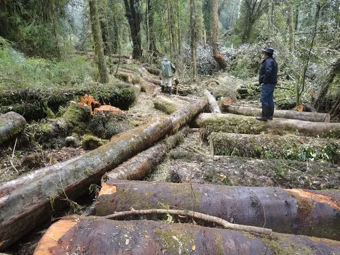 AGRICOLA Fundo San José