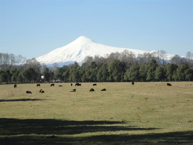 AGRICOLA Fundo "La Esperanza"