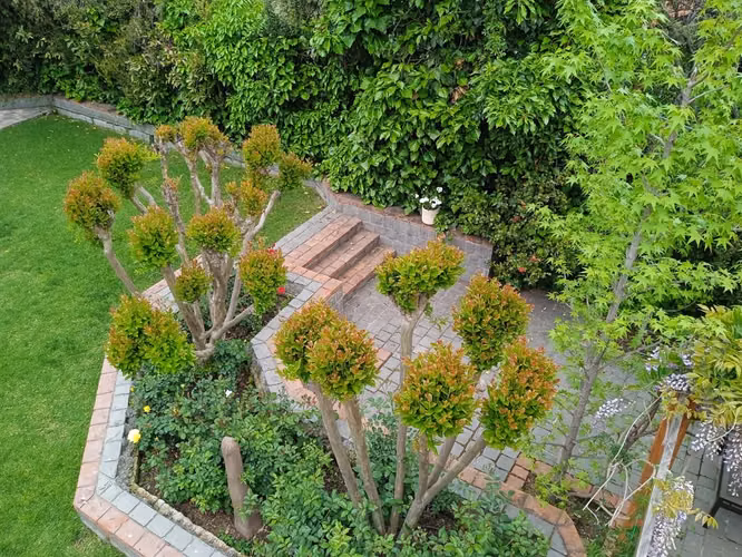 CASA Pedro Lira Urquieta / Los Queltehues - Imagen 6