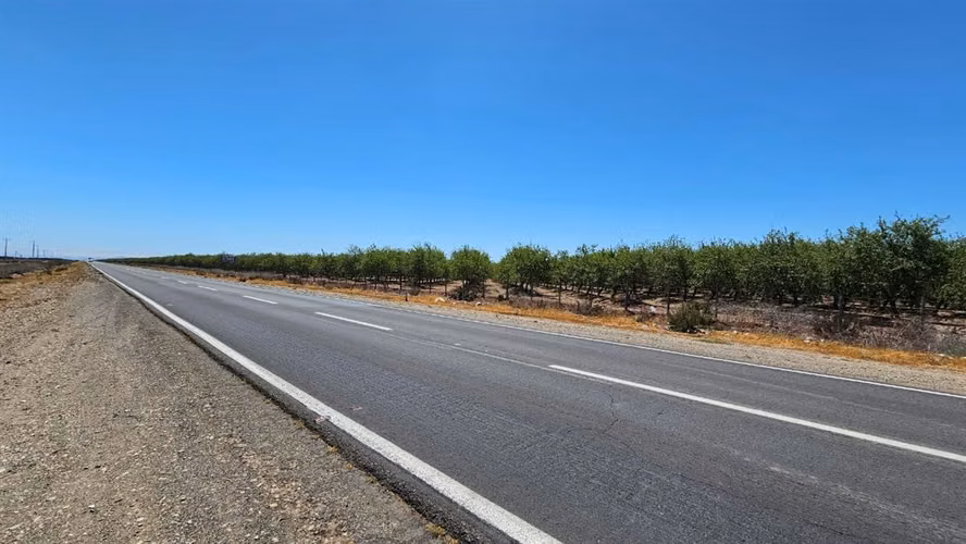 AGRICOLA Ruta-45