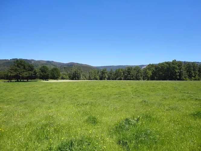 AGRICOLA Fundo Los Arrayanes