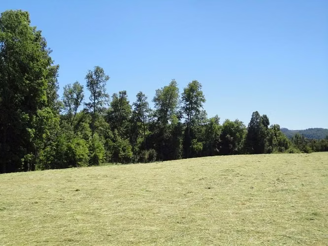 AGRICOLA Fundo Los Arrayanes