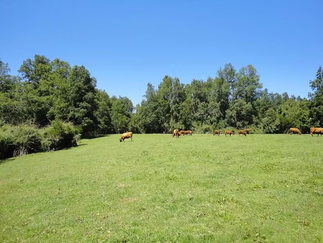 AGRICOLA Fundo Los Arrayanes