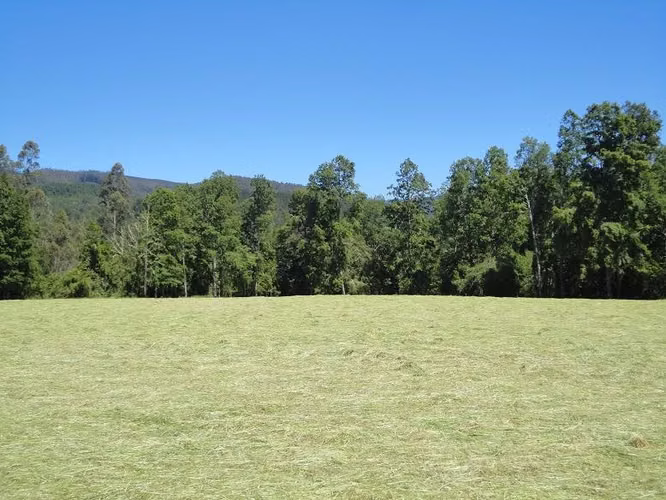 AGRICOLA Fundo Los Arrayanes