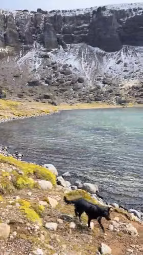 AGRICOLA Laguna del Tehuelche