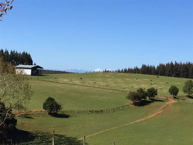 AGRICOLA Ruta T-800