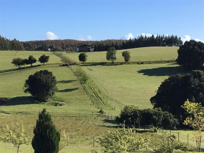AGRICOLA Ruta T-800