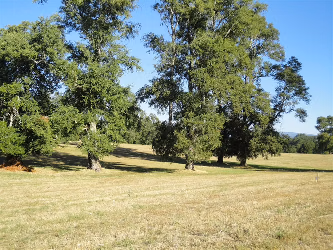 AGRICOLA 22 km de Villarica